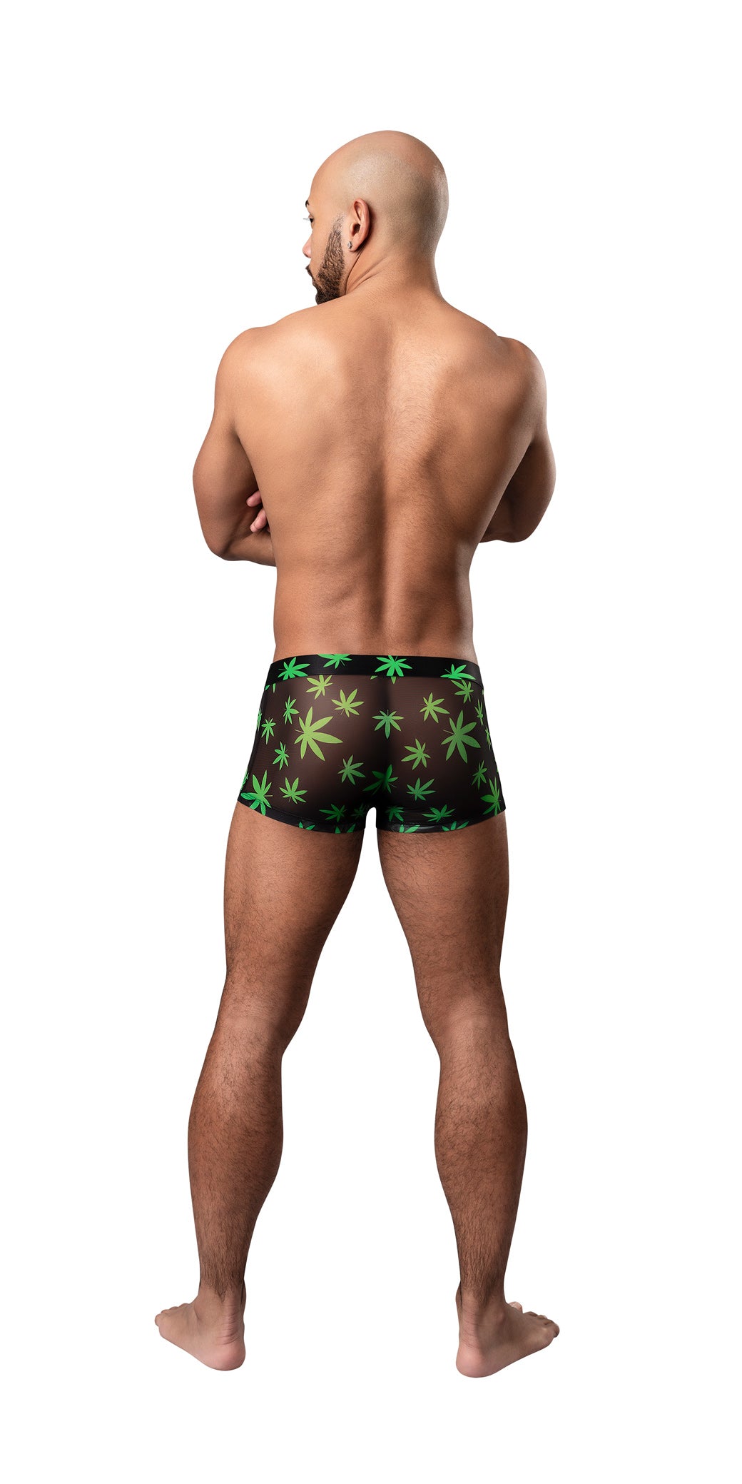 HAZY DAYZ POUCH SHORT POTLEAF MEDIUM