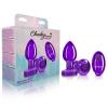 CHEEKY CHARMS VIBRATING METAL PLUG PURPLE MEDIUM W/ REMOTE