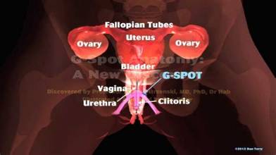 The Female G-Spot: What It Is, Where It Is & How to Explore It