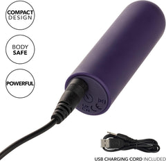 Turbo Buzz Round Mini Bullet Purple – Rechargeable Waterproof Mini Bullet Vibrator by CalExotics