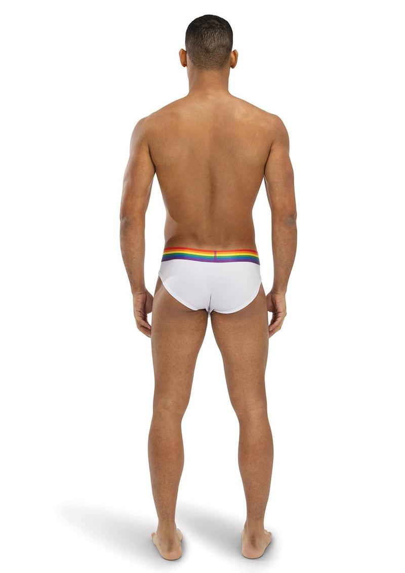 Envy Rainbow Radiant White and Rainbow Lg Xl