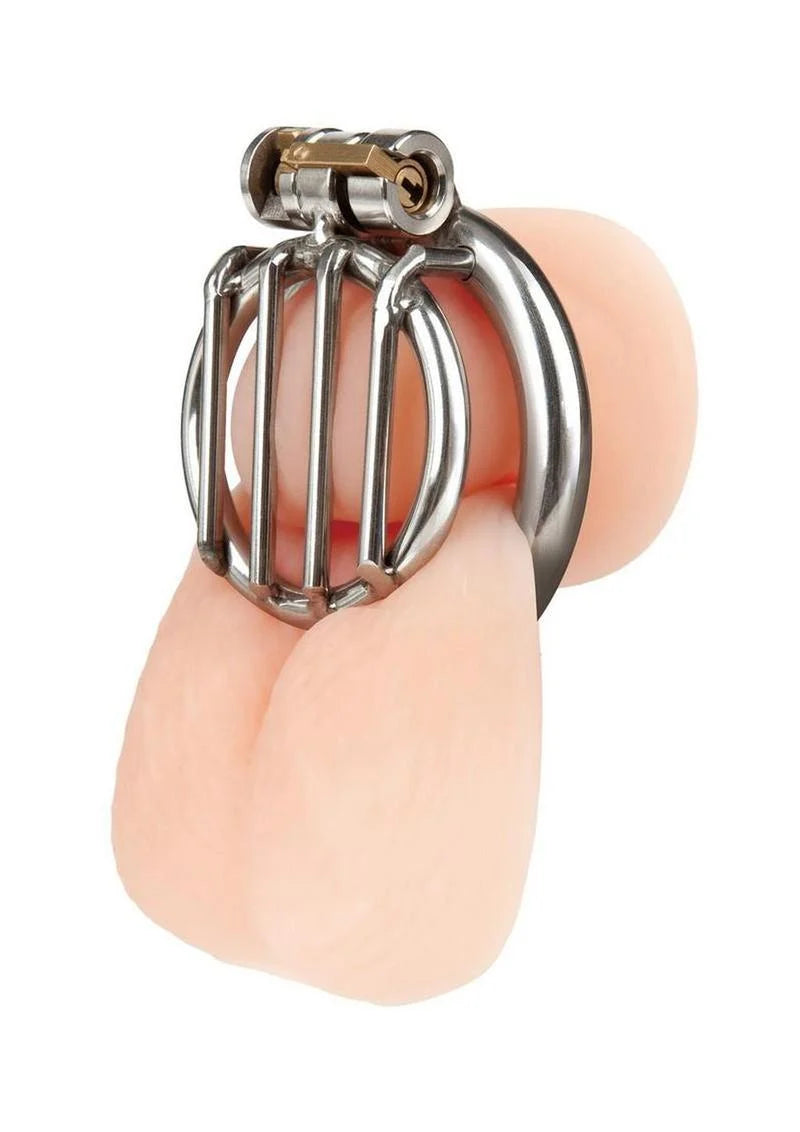 Blue Line Stainless Steel Inverted Micro Jail Time Chastity Cage – Secure Metal Chastity Device