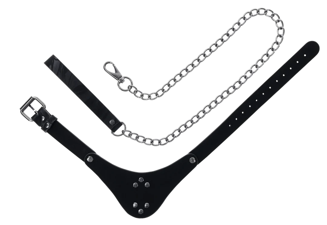 Velvet Noir Adjustable Collar & Leash Set