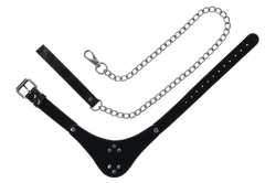 Velvet Noir Adjustable Collar & Leash Set