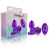 CHEEKY CHARMS VIBRATING METAL PLUG PURPLE SMALL W/ REMOTE