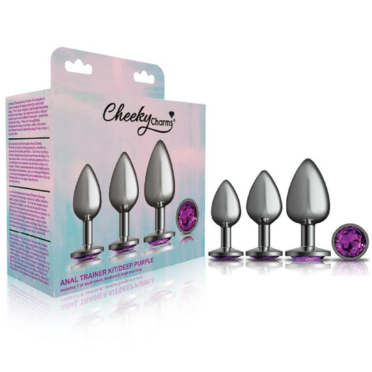 Cheeky Charms Metal Plug Kit – Gunmetal Round & Deep Purple