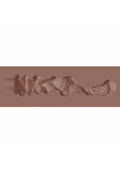 XKIN Career Girls Riley Rearview – Brown