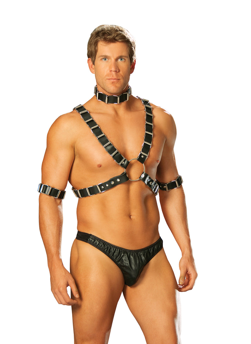 Elegant Moments 4 Piece Adjustable Harness, Set Includes Leather Harness, Arm Bands And Collar